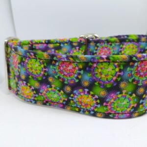 Collar Covid