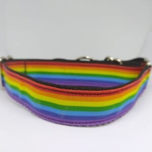 COLLAR ARCO IRIS